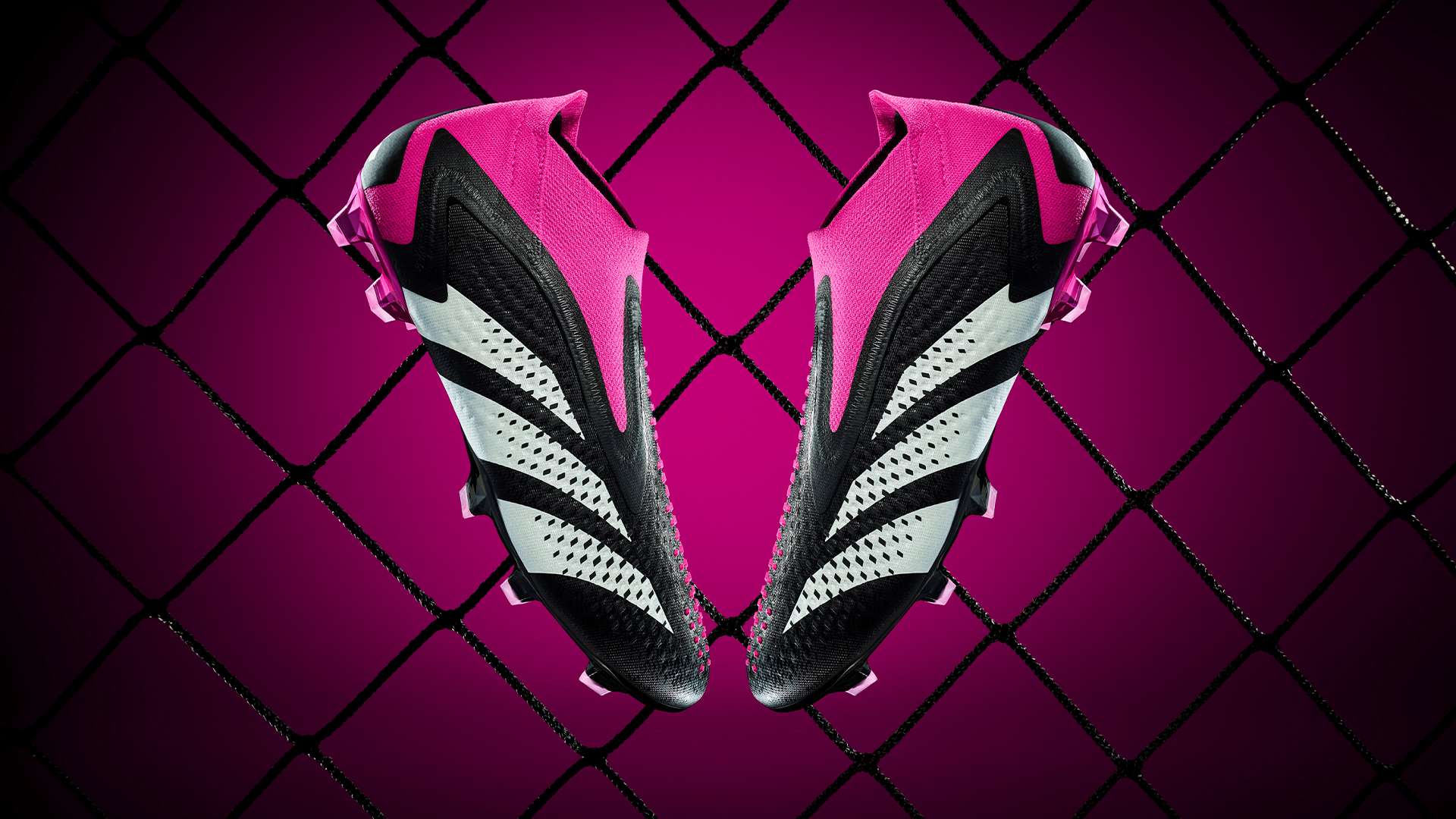 这篇文章将 这篇文章将